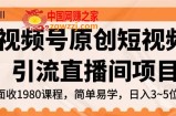 视频号原创短视频引流直播间项目，日入3~5五位数【揭秘】