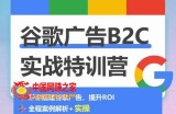 谷歌广告B2C实战特训营，500+谷歌账户总结经验，实战演示如何从0-1搭建广告账户