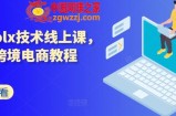 波兰olx技术线上课，kim跨境电商教程