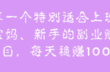 特别适合上班族、宝妈、新手的副业赚钱项目，每天稳赚100+【视频教程】