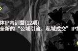 新媒体IP内训营(12期)，一套全新的“公域引流，私域成交”IP打法，直接带走