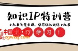 知识IP特训营 ：小红书-流量变现，带你轻松玩转小红书（23节视频课）