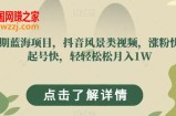 长期蓝海项目，抖音风景类视频，涨粉快，起号快，轻轻松松月入1W【揭秘】