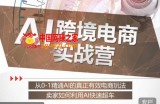 白龙老师·AI跨境电商实战营：从0-1精通Al的真正有效电商玩法，卖家如何利用Al快速超车