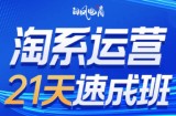 白凤电商·淘系运营21天速成班(更新3月)