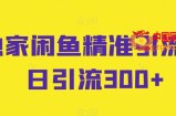 独家闲鱼精准引流，日引流300+【揭秘】