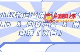 小红书运营成长课，写作入门内容运营接广变现【文档】
