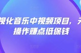 可视化音乐中视频项目，无脑操作赚点低保钱