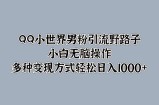 QQ小世界男粉引流野路子，小白无脑操作，多种变现方式