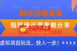 低成本烧烤摊技术虚拟项目新玩法，短视频运营策略分享，快人一步【揭秘】