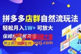 拼多多店群自然流玩法，轻松月入1W+保姆级视频教程（附上货、拍单工具）