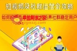短视频及社群运营全攻略，如何构建品牌社群如何培养社群稳定用户
