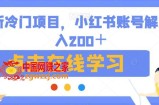 最新冷门项目，小红书账号解封日入200＋【揭秘】