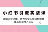（12809期）小红书引流实战课：详解运营逻辑，助力淘宝天猫销售增量，爆品打造月入10w