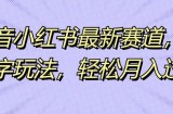 抖音小红书最新赛道，生僻字玩法，轻松月入过万