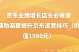 京东业绩增长店长必修课：帮助商家提升京东运营技巧（价值1980元）
