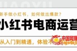 红商学院·小红书电商运营课，​新手做小红书如何快速做出爆款，从入门到精通，体验不一样的收货