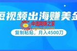 短视频出海赚美金，复制粘贴批量操作，小白轻松掌握，月入4500美刀【揭秘】