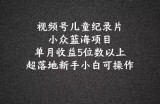 2024蓝海项目微信视频号儿童纪录片科谱，单月盈利5个数之上，新手入门易操作