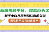 全新短视频平台，新手小白入局初期红利的关键，想吃初期红利的速度来