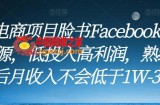 跨境电商项目脸书Facebook商城无货源，低投入高利润，熟练操作后月收入不会低于1W-3W