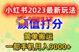 最新小红书颜值打分玩法，日入300+闭环玩法