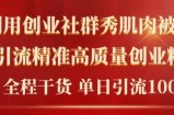 2024年最新创业社群引流法，无需剪辑，无需拍摄，无需做账号，精准创业粉