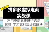拼多多平台虚拟资源项目实战演练游戏玩法：电商思维开展选款 经营，轻松玩高收益虚拟商品！