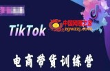 TikTok电商带货训练营，跟随时代潮流，跨境掘金