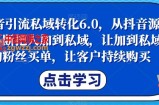 抖音引流私域转化6.0，从抖音源源不断把人加到私域，让加到私域的粉丝买单，让客户持续购买