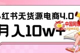 小红书新电商实战，无货源实操从0到1月入10w+联合抖音放大收益【揭秘】