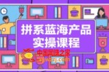 拼系冷门蓝海产品实操课程，从注册店铺到选品上架到流量维护环环相扣
