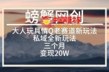 大人玩具情Q用品赛道私域全新玩法，三个月变现20W，老项目新思路【揭秘】