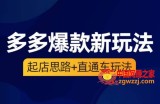 海神·多多爆款新玩法，​起店思路+直通车玩法（3节精华课）