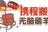 携程最新无脑薅羊毛低保玩法，后期稳定一天几十的收益，可多号放大收益