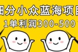 细分小众蓝海项目，一单利润3张，每月收入稳定过1w+