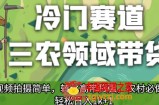 冷门赛道三农领域带货，视频拍摄简单，转化高带货强，农村必做！【揭秘】