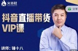 锤十八-抖音直播带货VIP课，专注直播带货有效盈利模式