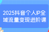 2025抖音个人IP全域流量变现进阶课：选爆品、抖音付费投流、千川投流实操及优化等