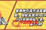 靠两种引流方法卖莆田高端鞋，轻松实现月入1W+，小白也能轻松上手，每天只要1小时【揭秘】
