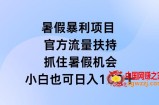 暑假暴利直播项目，官方流量扶持，把握暑假机会【揭秘】