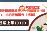 极速版无费用薅羊毛，一天躺赚10-50+，小白无脑操作【拆解】