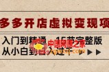 拼多多开店虚拟变现项目：入门到精通，从小白到日入过千（15节完整版）