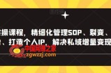 私域实操课程，精细化管理SOP、裂变、复购、转粉、打造个人IP，解决私域增量变现问题