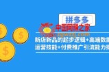 2022拼多多：新店新品的起步逻辑+高端数据化运营技能+付费推广引流能力提升