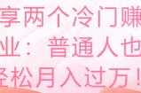 分享两个冷门赚钱副业：普通人也能轻松月入过万！【视频教程】