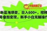 新蓝海项目，日入600+，视频号叠加变现，新手小白无脑操作【揭秘】