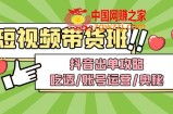 短视频带货内训营：抖音出单攻略，吃透/账号运营/奥秘，轻松带货