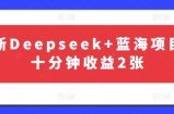 最新Deepseek+蓝海项目，十分钟收益2张