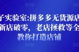 野路子实验室:拼多多无货源店群项目，新店破零，老店拯救等全方位教你打造店铺